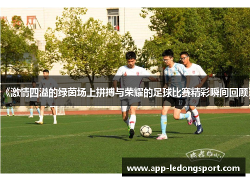 《激情四溢的绿茵场上拼搏与荣耀的足球比赛精彩瞬间回顾》